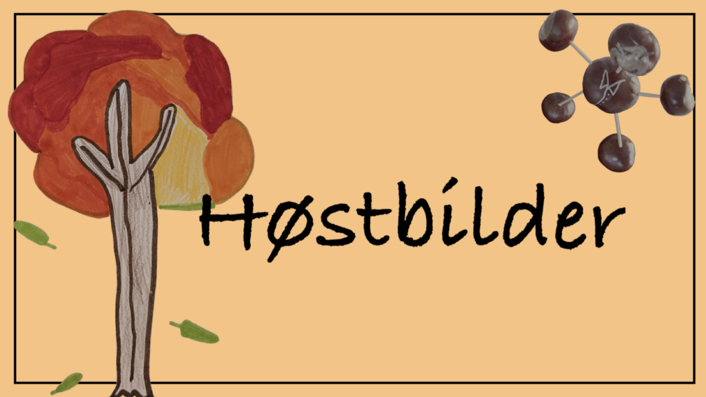 Høstbilder